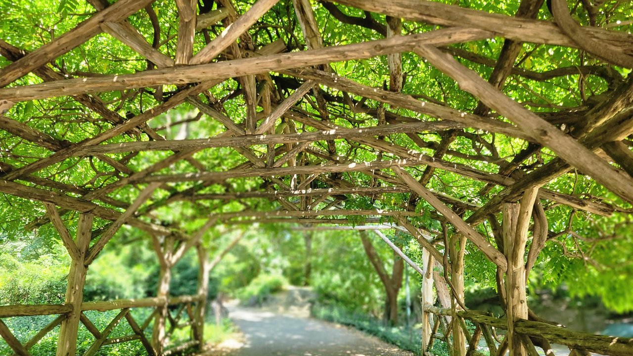 Garden arbor, still photo
